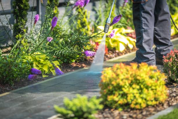 Best Boat and Dock Cleaning  in Adamstown, MD